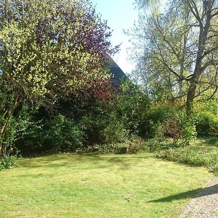 Sonniges Haeuschen Mit Garten Брауншвейг Экстерьер фото
